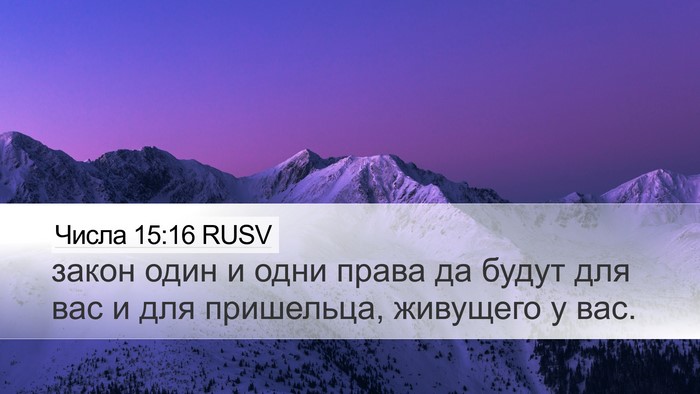 Числа 15:16 RUSV Bible Verse Image