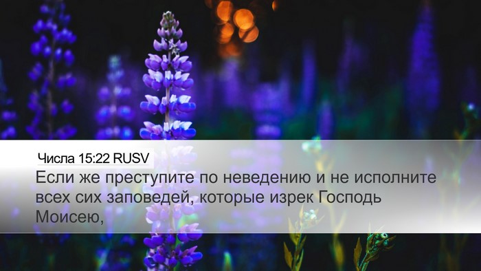 Числа 15:22 RUSV Desktop Wallpaper - Если же преступите по - Desktop Bible Verse Wallpaper