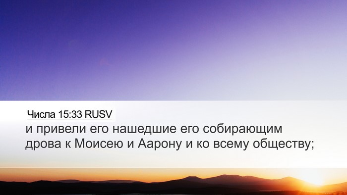Числа 15:33 RUSV Bible Verse Image