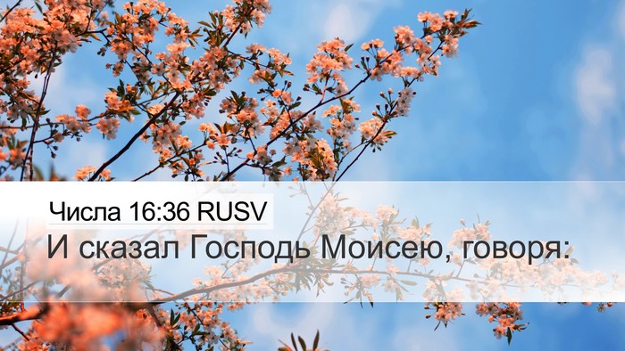 Числа 16:36 RUSV Desktop Wallpaper - И сказал Господь Моисею, - Desktop Bible Verse Wallpaper