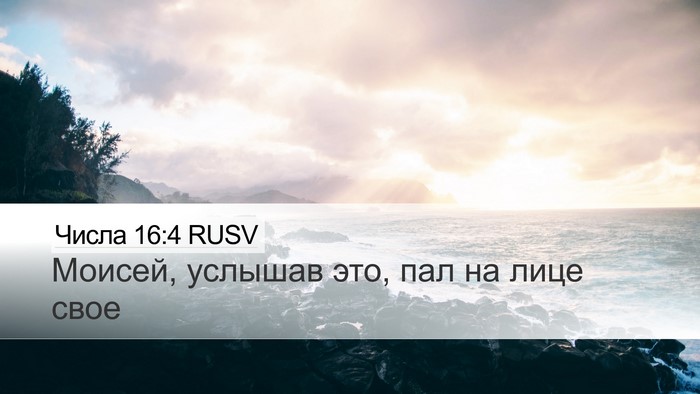 Числа 16:4 RUSV Bible Verse Image