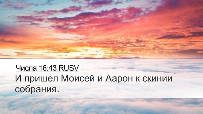Числа 16:43 RUSV Desktop Wallpaper - И пришел Моисей и Аарон к - Desktop Bible Verse Wallpaper