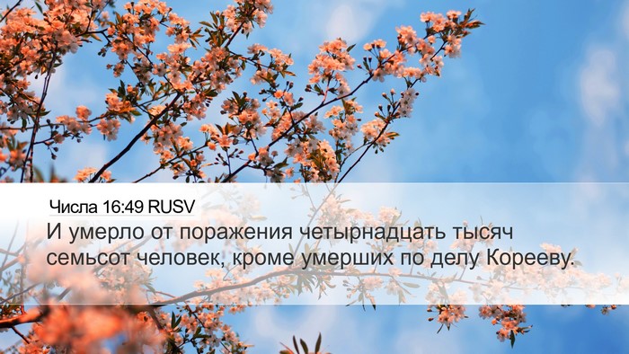Числа 16:49 RUSV Bible Verse Image