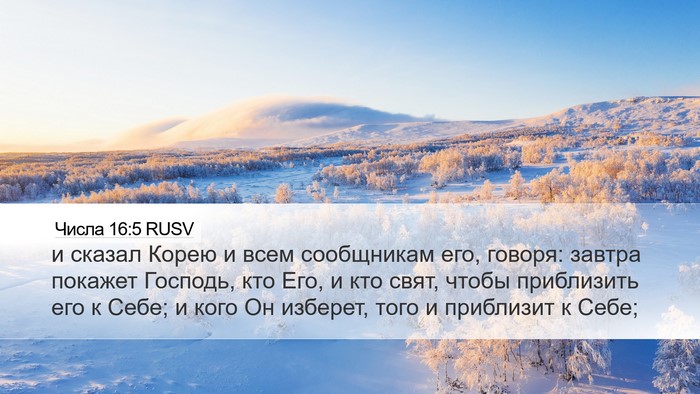 Числа 16:5 RUSV Bible Verse Image