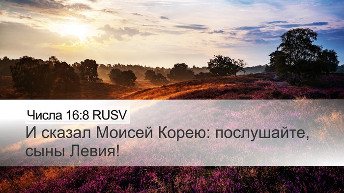 Числа 16:8 RUSV Desktop Wallpaper - И сказал Моисей Корею: - Desktop Bible Verse Wallpaper