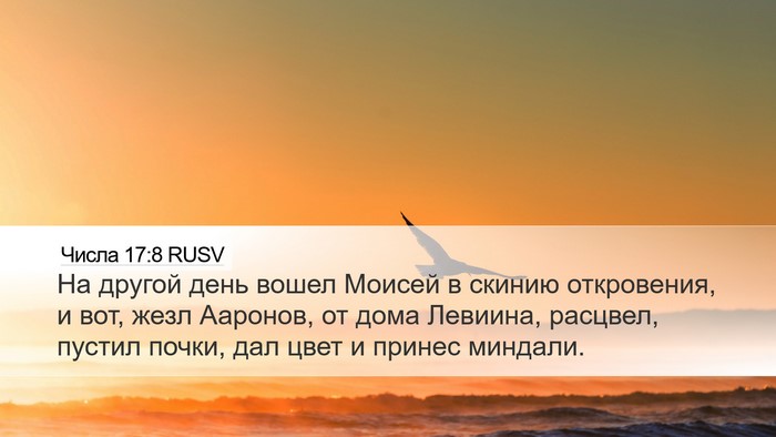 Числа 17:8 RUSV Bible Verse Image