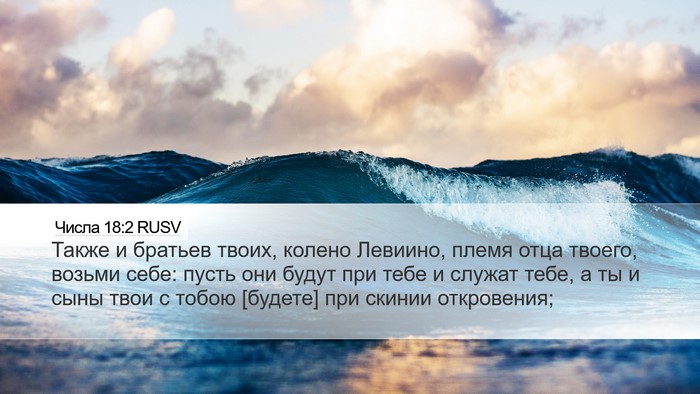 Числа 18:2 RUSV Bible Verse Image