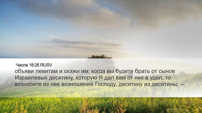 Числа 18:26 RUSV Desktop Wallpaper - объяви левитам и скажи им: - Desktop Bible Verse Wallpaper