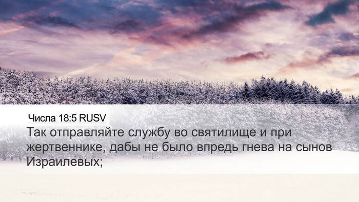 Числа 18:5 RUSV Desktop Wallpaper - Так отправляйте службу во - Desktop Bible Verse Wallpaper