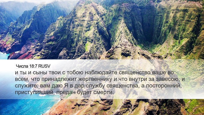 Числа 18:7 RUSV Bible Verse Image