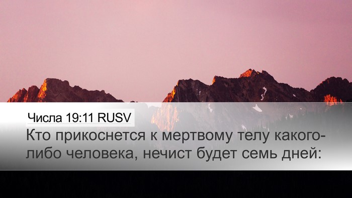 Числа 19:11 RUSV Bible Verse Image