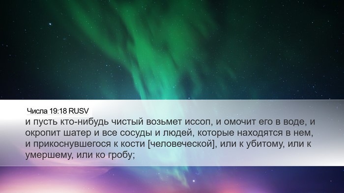 Числа 19:18 RUSV Bible Verse Image
