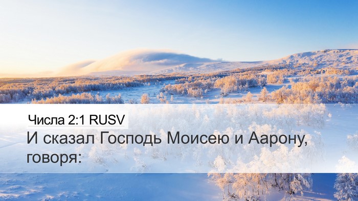Числа 2:1 RUSV Bible Verse Image