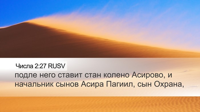 Числа 2:27 RUSV Bible Verse Image