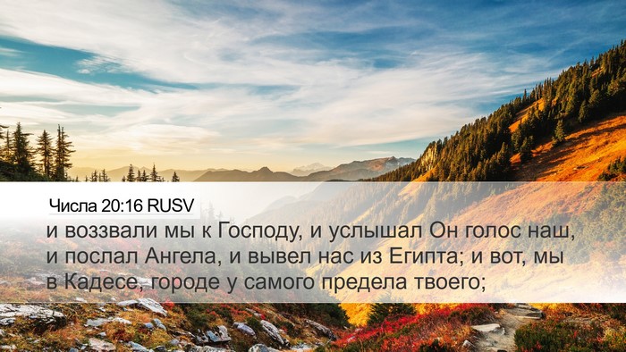 Числа 20:16 RUSV Bible Verse Image