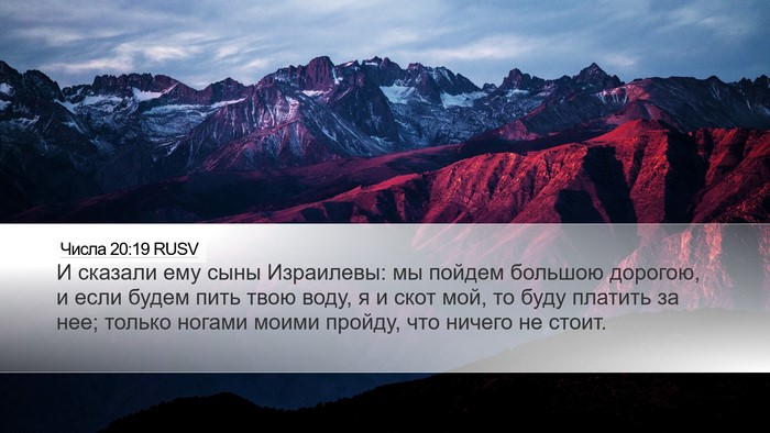 Числа 20:19 RUSV Desktop Wallpaper - И сказали ему сыны - Desktop Bible Verse Wallpaper