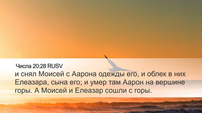 Числа 20:28 RUSV Desktop Wallpaper - и снял Моисей с Аарона - Desktop Bible Verse Wallpaper