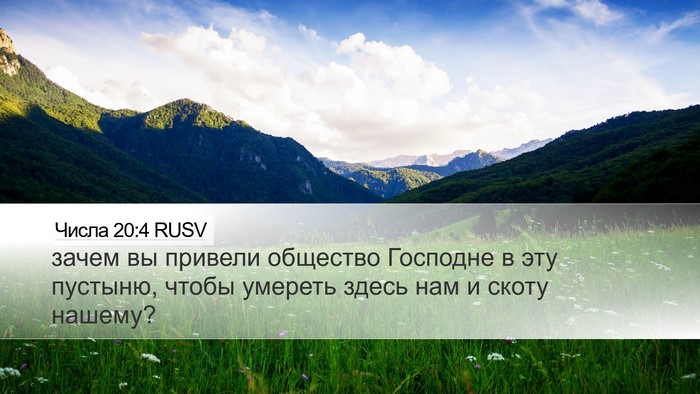 Числа 20:4 RUSV Bible Verse Image