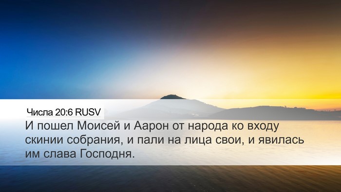 Числа 20:6 RUSV Bible Verse Image