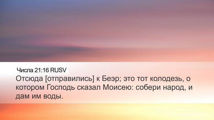 Числа 21:16 RUSV Bible Verse Image