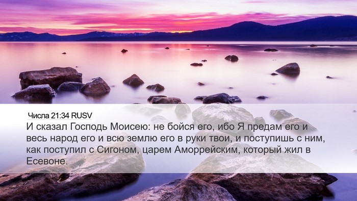 Числа 21:34 RUSV Bible Verse Image