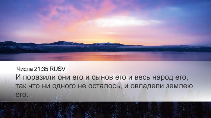 Числа 21:35 RUSV Bible Verse Image