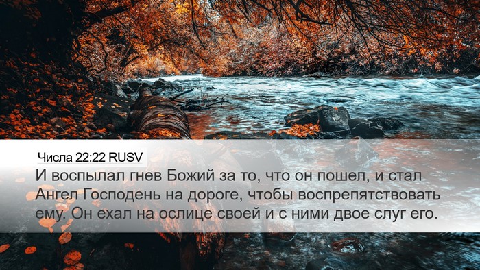 Числа 22:22 RUSV Bible Verse Image