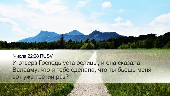 Числа 22:28 RUSV Bible Verse Image