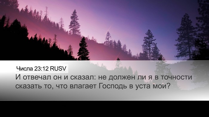 Числа 23:12 RUSV Bible Verse Image