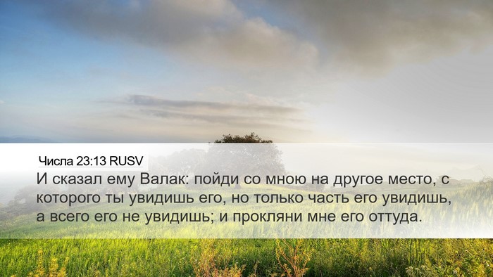 Числа 23:13 RUSV Bible Verse Image