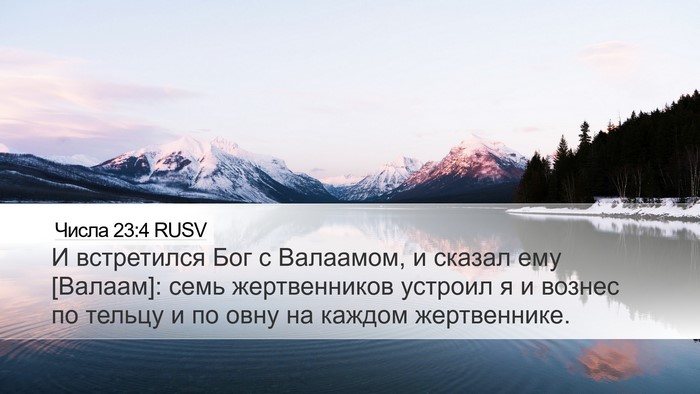 Числа 23:4 RUSV Bible Verse Image