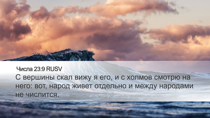 Числа 23:9 RUSV Bible Verse Image