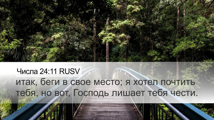 Числа 24:11 RUSV Desktop Wallpaper - итак, беги в свое место; я - Desktop Bible Verse Wallpaper