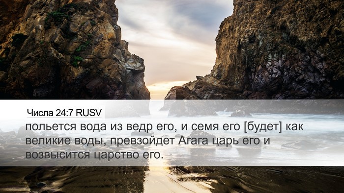 Числа 24:7 RUSV Bible Verse Image