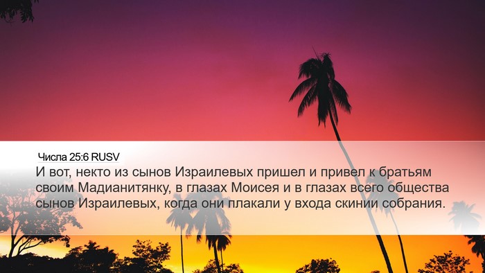 Числа 25:6 RUSV Bible Verse Image