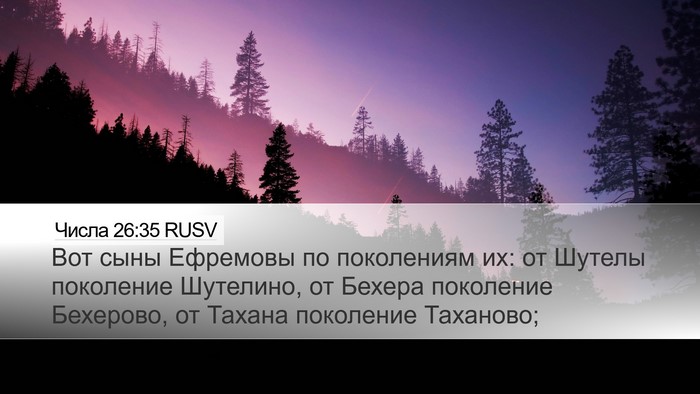 Числа 26:35 RUSV Desktop Wallpaper - Вот сыны Ефремовы по - Desktop Bible Verse Wallpaper