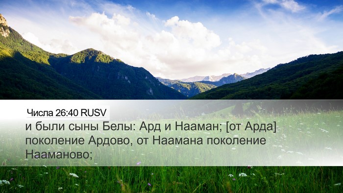 Числа 26:40 RUSV Desktop Wallpaper - и были сыны Белы: Ард и - Desktop Bible Verse Wallpaper