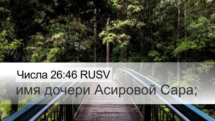 Числа 26:46 RUSV Desktop Wallpaper - имя дочери Асировой - Desktop Bible Verse Wallpaper
