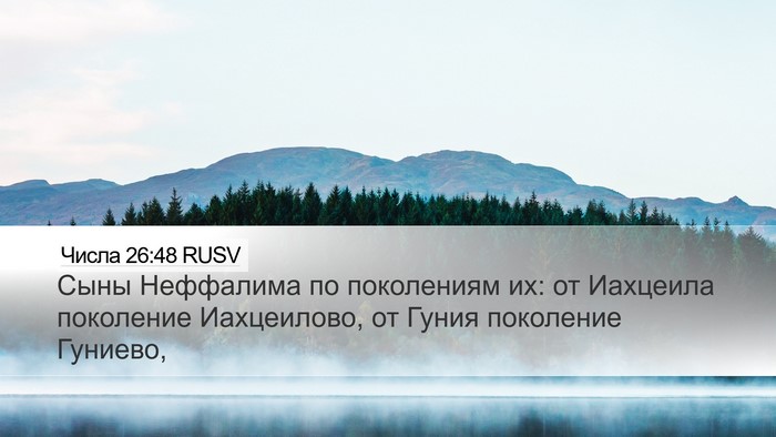 Числа 26:48 RUSV Desktop Wallpaper - Сыны Неффалима по - Desktop Bible Verse Wallpaper