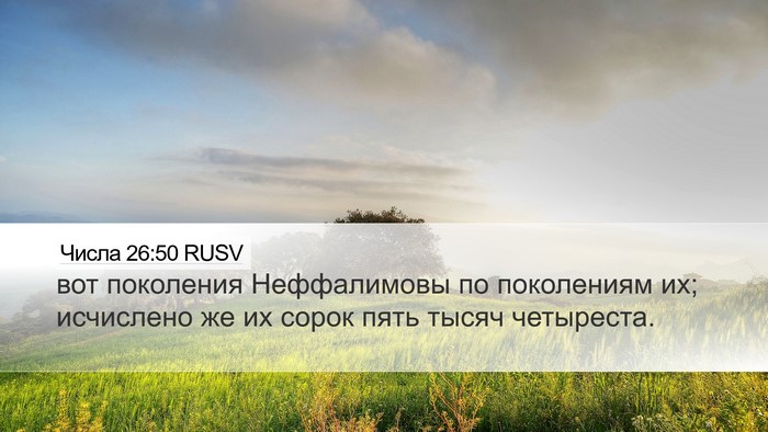 Числа 26:50 RUSV Bible Verse Image