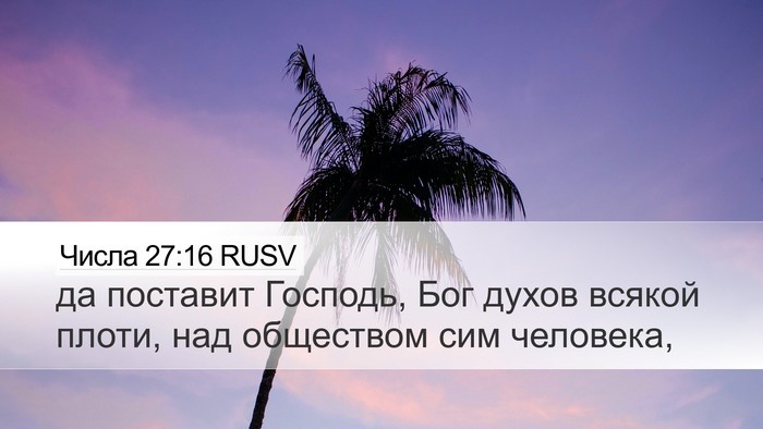 Числа 27:16 RUSV Bible Verse Image