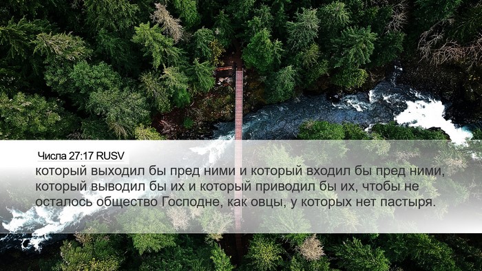 Числа 27:17 RUSV Bible Verse Image