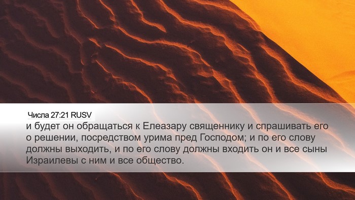 Числа 27:21 RUSV Bible Verse Image