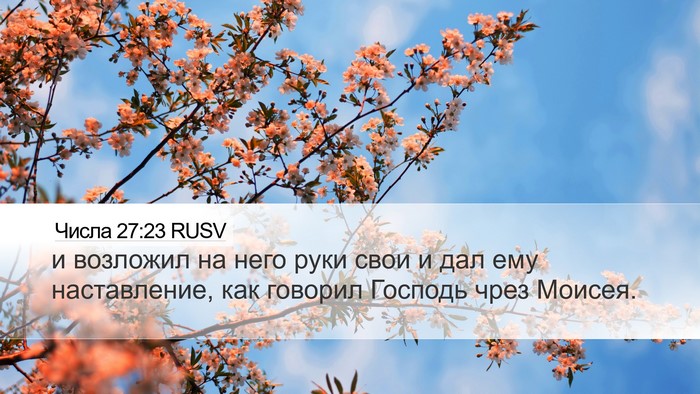Числа 27:23 RUSV Bible Verse Image