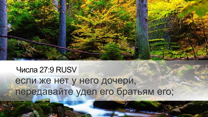 Числа 27:9 RUSV Desktop Wallpaper - если же нет у него дочери, - Desktop Bible Verse Wallpaper