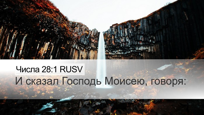 Числа 28:1 RUSV Bible Verse Image