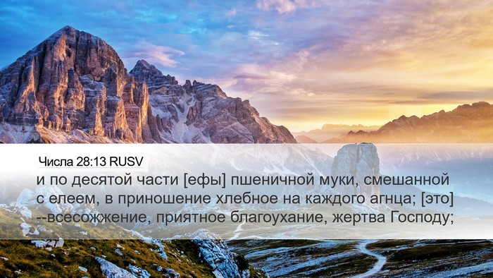 Числа 28:13 RUSV Desktop Wallpaper - и по десятой части [ефы] - Desktop Bible Verse Wallpaper