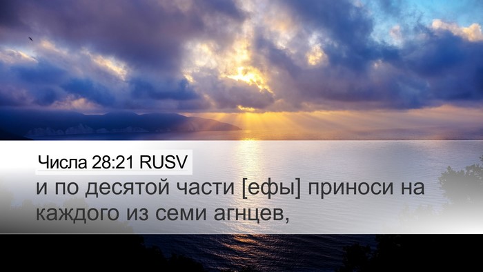 Числа 28:21 RUSV Desktop Wallpaper - и по десятой части [ефы] - Desktop Bible Verse Wallpaper