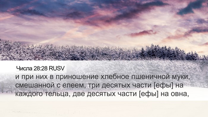 Числа 28:28 RUSV Desktop Wallpaper - и при них в приношение - Desktop Bible Verse Wallpaper