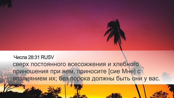 Числа 28:31 RUSV Bible Verse Image